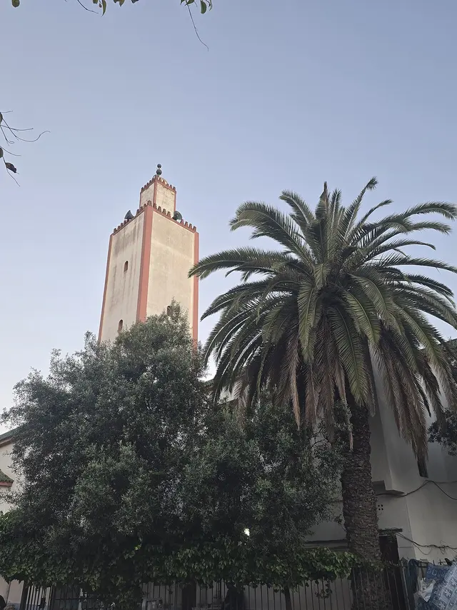 Masjid Al Mohssinine