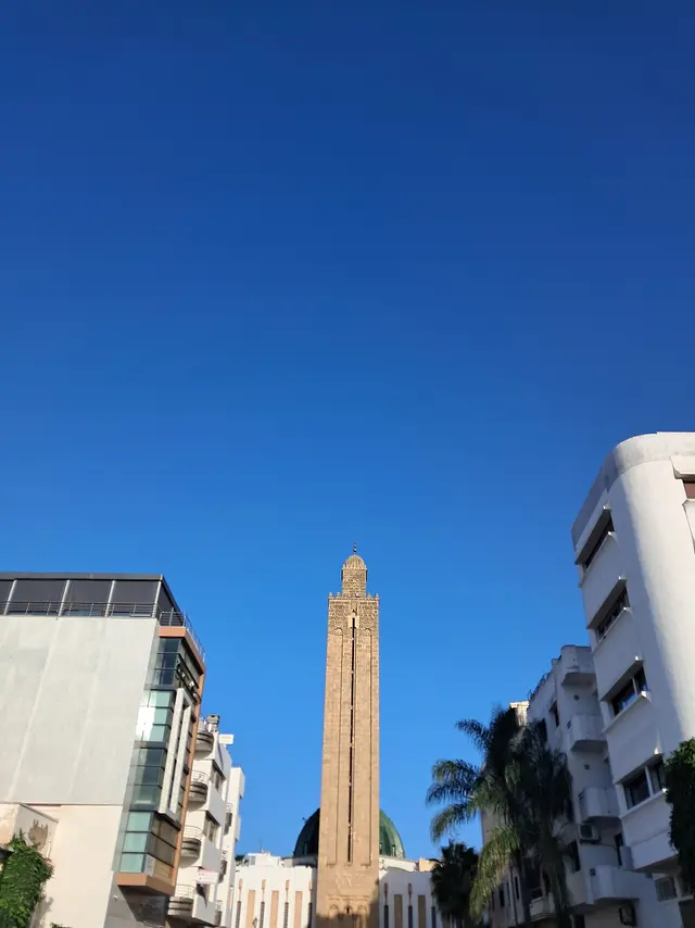 Mosquée Badr مسجد بدر