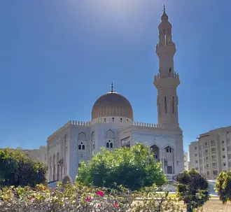 جامع الزواوي