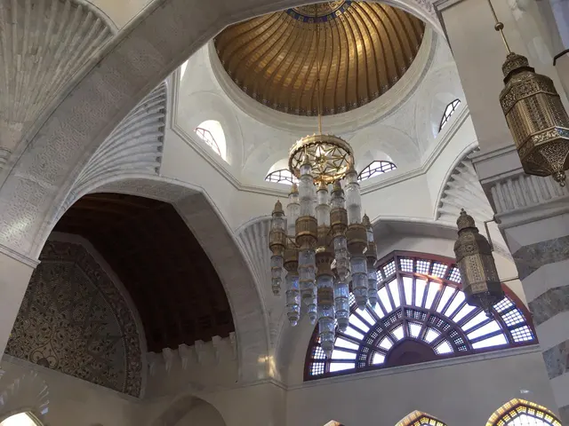 جامع محمد الأمين