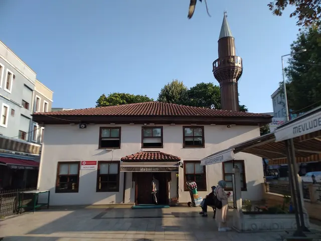 Ağa Camii, Adapazarı