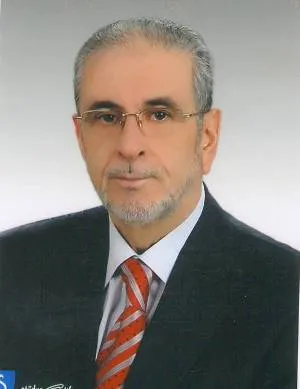 Ilhan Tok, fotoğraf 3